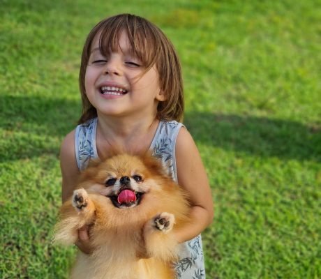 Muito amor envolvido .#spitzalemao #spitz #luludapomeraniabrasil #luludapomeranialovers